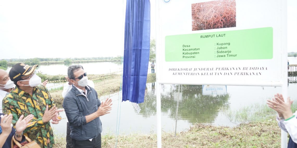 Menteri KKP Bersama Bupati Sidoarjo Canangkan Desa Kupang Jabon Jadi Kampung Budidaya Rumput Laut