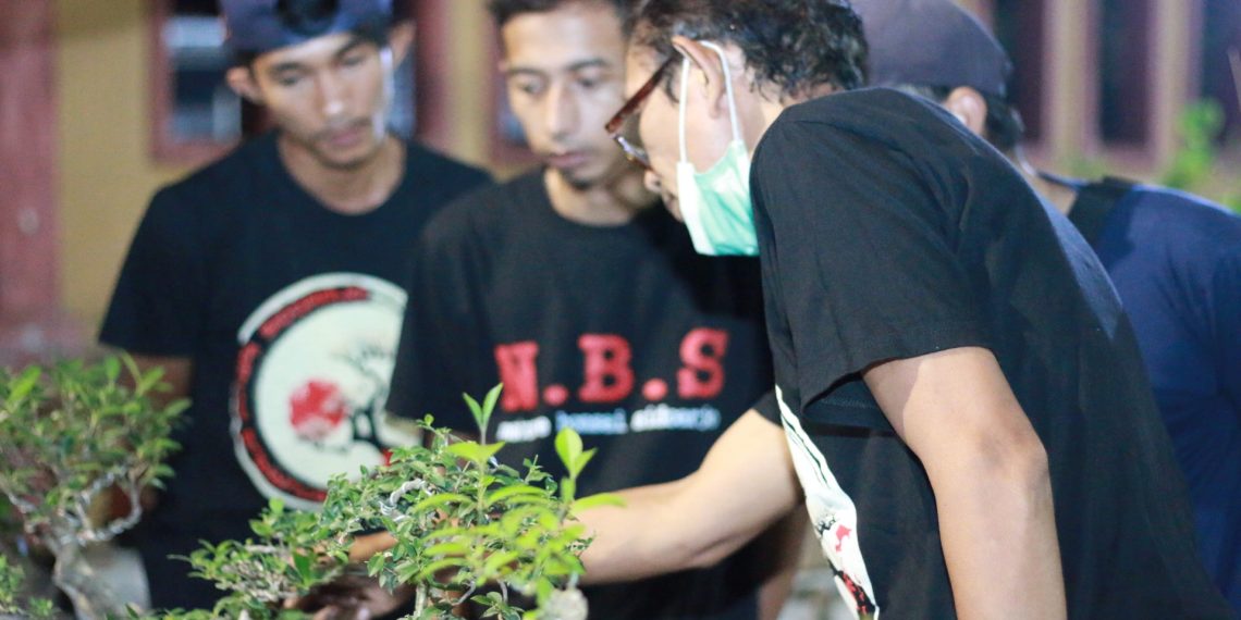 Tingkatkan Perekonomian, NBS Gelar Bazaar Bonsai Murah di Mpu Tantular