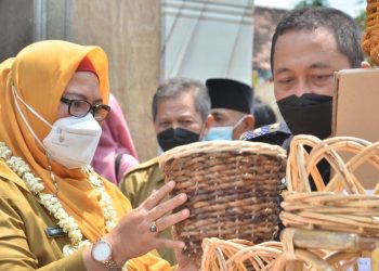 Lagi, Produk UMKM Gresik Tembus Pasar Ekspor, Produk Rotan ke Jepang, Frozen Food ke Malaysia