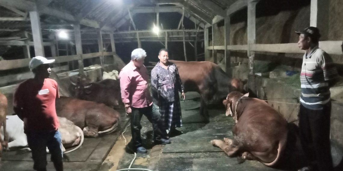 Berawal dari Gresik, Ribuan Sapi di Jatim Terjangkit Penyakit Mulut dan Kuku