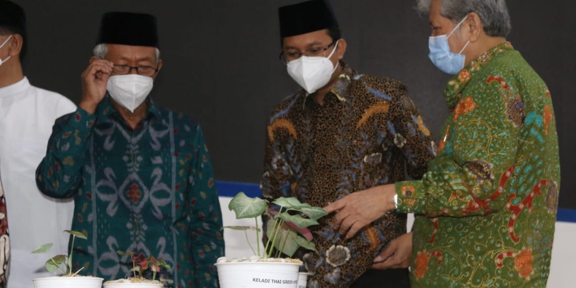 Bupati Muhdlor Apresiasi Unit Bisnis Umsida Ekspor Bibit Tanaman Hias ke Amerika