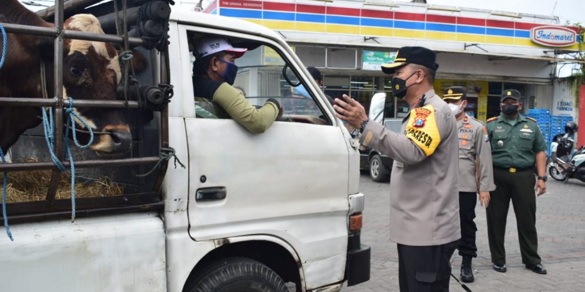 13 Kecamatan Terindikasi PMK, Sidoarjo Batasi Lalu Lintas Ternak ke Luar Kota