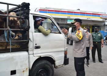 13 Kecamatan Terindikasi PMK, Sidoarjo Batasi Lalu Lintas Ternak ke Luar Kota