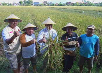 Panen Raya, BHS Dorong Pemerintah Prioritaskan Anggaran untuk Pertanian