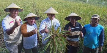 Panen Raya, BHS Dorong Pemerintah Prioritaskan Anggaran untuk Pertanian