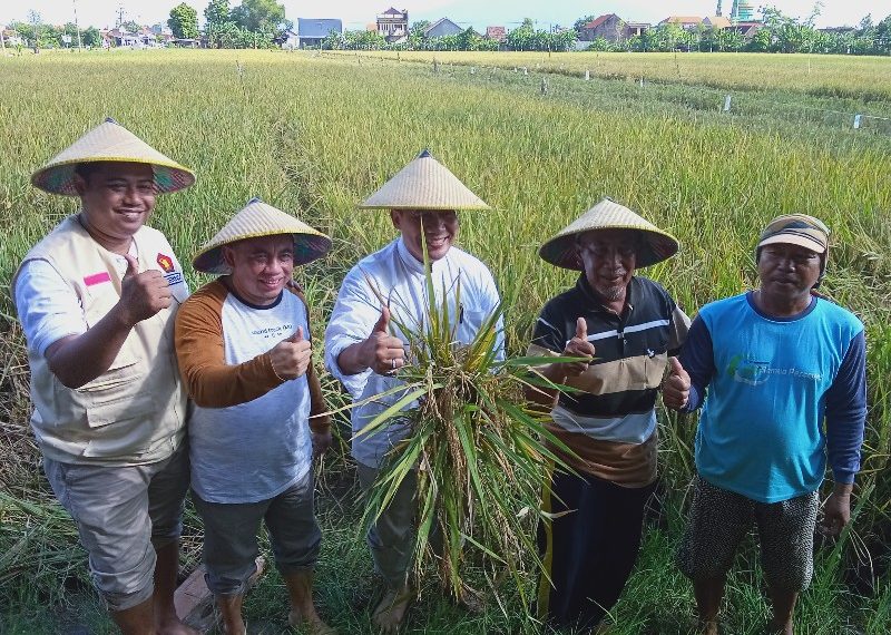 Panen Raya, BHS Dorong Pemerintah Prioritaskan Anggaran untuk Pertanian