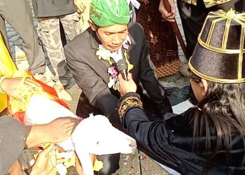 Heboh Pria Nikahi Kambing di Benjeng, Gus Yani: Itu Perilaku Jahiliyah