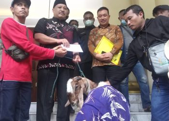 Heboh Pernikahan Manusia dengan Kambing, Pimpinan DPRD Gresik Ambil Alih Tugas Badan Kehormatan