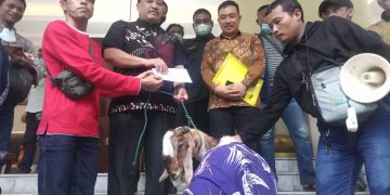 Heboh Pernikahan Manusia dengan Kambing, Pimpinan DPRD Gresik Ambil Alih Tugas Badan Kehormatan