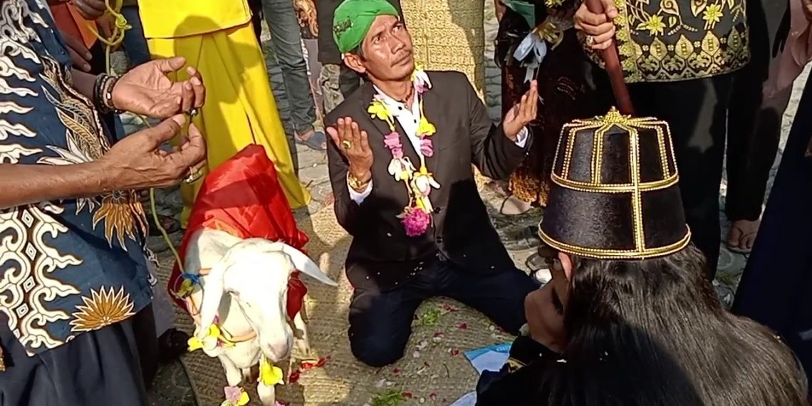 Heboh Pernikahan Pria dengan Kambing, Muhammadiyah-NU Gresik Desak Kemenag Turun Tangan