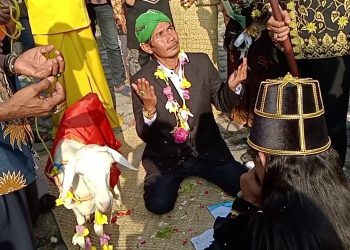 Heboh Pernikahan Pria dengan Kambing, Muhammadiyah-NU Gresik Desak Kemenag Turun Tangan