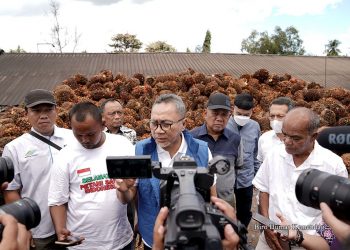 Stabilkan Harga Migor, Mendag Zulhas Dialog dengan Petani Sawit