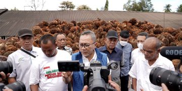 Stabilkan Harga Migor, Mendag Zulhas Dialog dengan Petani Sawit
