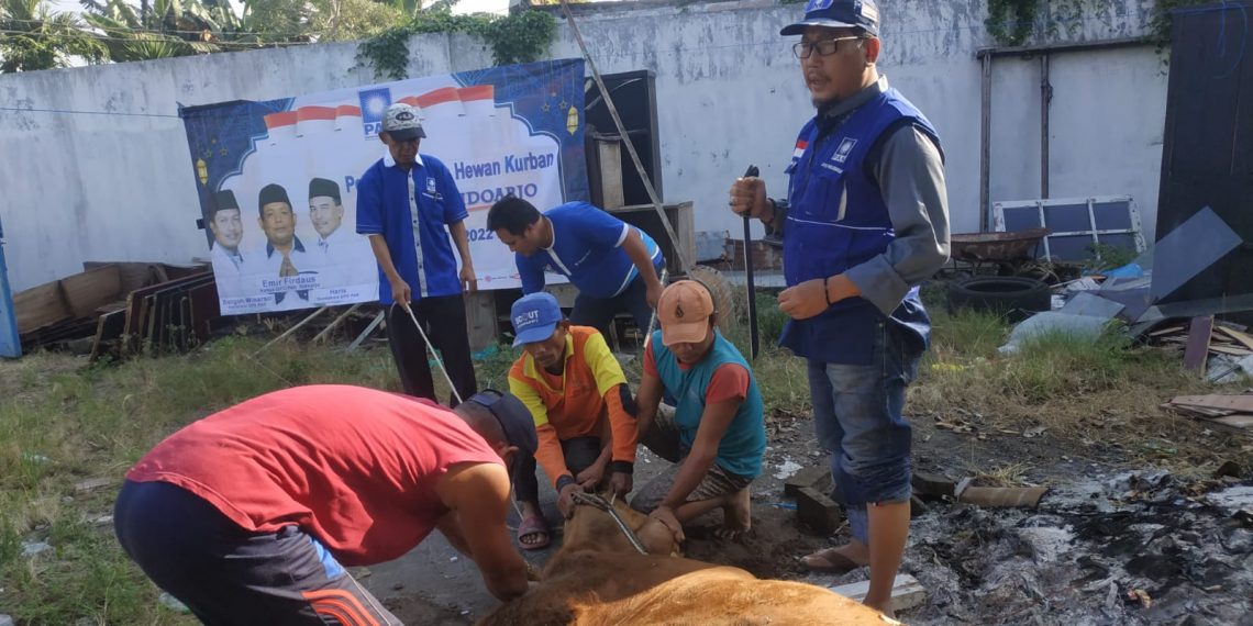 DPD PAN Sidoarjo Sembelih Kurban, Bangun: Kami Harap Semua Bahagia