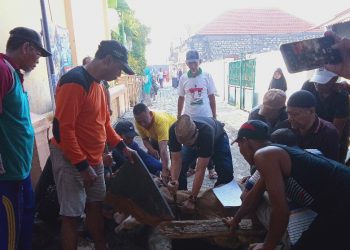 H Khulaim Junaidi Kurban Dua Ekor Sapi di Desa Banjarkemuning