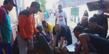 H Khulaim Junaidi Kurban Dua Ekor Sapi di Desa Banjarkemuning