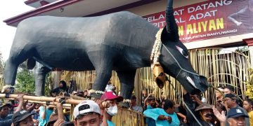 Bupati Banyuwangi Dukung Penuh Ritual Adat Keboan Desa Aliyan