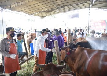 Pastikan Kesehatannya, Wakil Bupati Sidoarjo Tinjau Lapak Penjualan Hewan Kurban