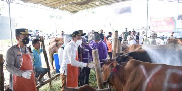 Pastikan Kesehatannya, Wakil Bupati Sidoarjo Tinjau Lapak Penjualan Hewan Kurban