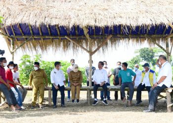 Di Gresik, Presiden Jokowi Luncurkan Lumbung Pangan Berbasis Mangga