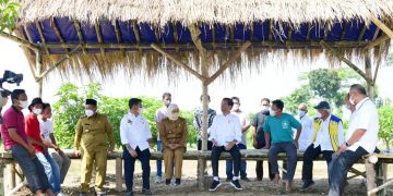 Di Gresik, Presiden Jokowi Luncurkan Lumbung Pangan Berbasis Mangga