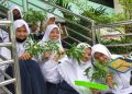 Siswi SMP IT Insan Kamil Panen Sayur Hasil Tanam Sistem Hidroponik