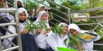 Siswi SMP IT Insan Kamil Panen Sayur Hasil Tanam Sistem Hidroponik