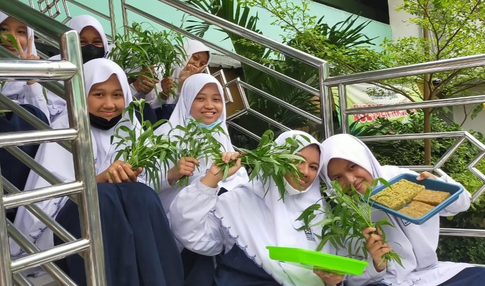Siswi SMP IT Insan Kamil Panen Sayur Hasil Tanam Sistem Hidroponik
