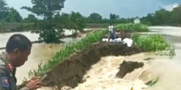 Lagi-lagi Kali Lamong Meluap, Desa-desa di Balongpanggang dan Kedamean Terendam, Normalisasi Belum Efektif Hasilnya