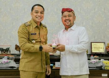 Gandeng Surabaya, Gresik Jajaki Layanan Kesehatan Bersama