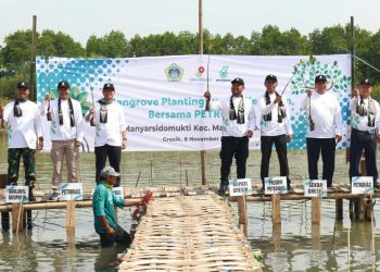 Lindungi Kawasan Kalimireng, Bupati Gresik – Petronas Tanam 10 Ribu Mangrove
