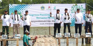 Lindungi Kawasan Kalimireng, Bupati Gresik – Petronas Tanam 10 Ribu Mangrove