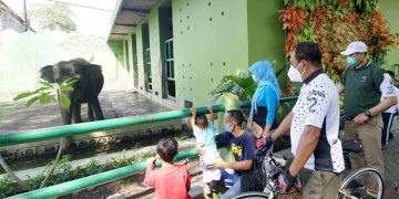 Jelang Tahun Baru, Wawali Armuji Ajak Warga Nikmati Destinasi Wisata dalam Kota