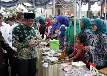 Wakil Bupati Sidoarjo Launching Desa Berdaya