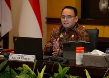 Silmy Karim Akhirnya Terpililih Jabat Dirjen Imigrasi