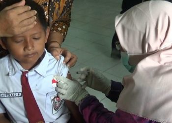 Ratusan Siswa SDN Pagerwojo Disuntik Vaksin HPV dan Vaksin Divteri