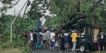 Lagi, Puting Beliung Terjang Gresik, Kali Ini Tumbangkan Pohon dan Tiang Listrik, Lalin Macet