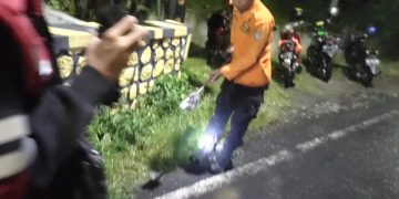 Banjir Kota Madiun, Petugas BPBD Sigap Halau dan Evakuasi Puluhan Ular yang Masuk Perkampungan