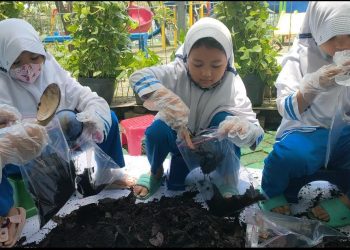 Peringati HPSN Siswa KB-TK Al Muslim Mengolah Sampah Jadi Pupuk