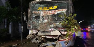 Tabrak Trafficlight di Jalur Pantura Situbondo-Asembagus, Bus Jurusan Surabaya-Banyuwangi Ringsek