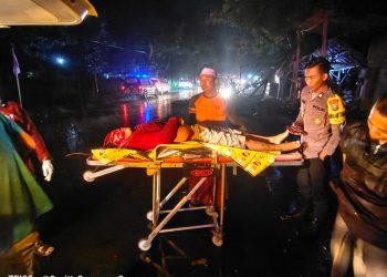 Tertimpa Pohon, Remaja Awar-awar Situbondo Tewas