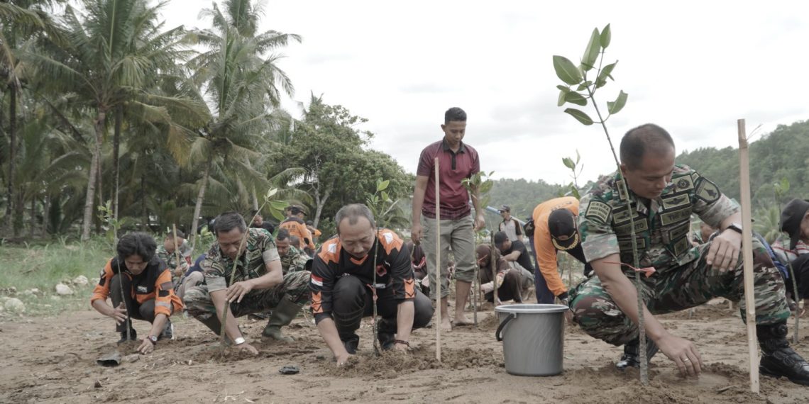 Tanam 2 Ribu Bibit Pohon Mangrove di Pantai Soge