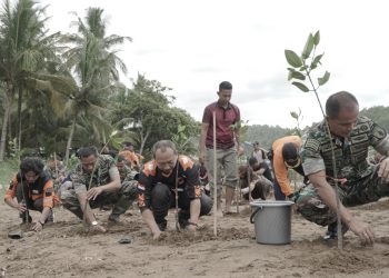 Tanam 2 Ribu Bibit Pohon Mangrove di Pantai Soge