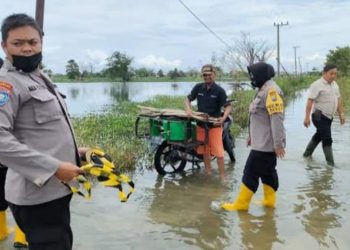 Banjir Bengawan Njero Meluas, Puluhan Desa di Lamongan Terendam