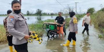 Banjir Bengawan Njero Meluas, Puluhan Desa di Lamongan Terendam