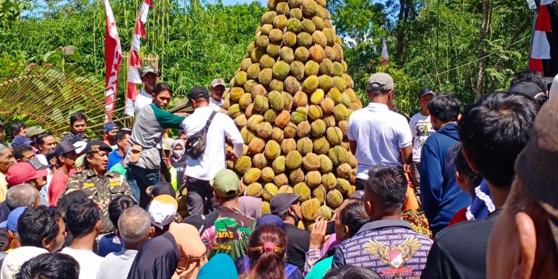 Berharap Panen Melimpah, Warga Suluk-Madiun Gelar Kenduri Durian