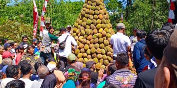 Berharap Panen Melimpah, Warga Suluk-Madiun Gelar Kenduri Durian