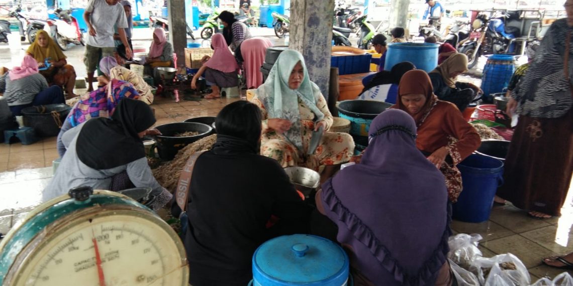 Nelayan Campurejo, Gresik Kembali Melaut