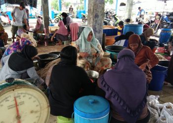 Nelayan Campurejo, Gresik Kembali Melaut