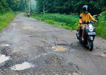 Jalan Poros Saradan-Gemarang, Madiun Rusak dan Banyak Berlubang